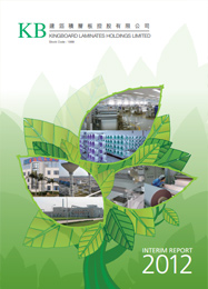 INTERIM REPORT 2012